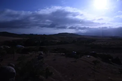 DSC_1210 (Large).JPG